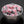 WEKT Yunyan Switch Yun Yan Switch Yun Yann 45g 55g for Gaming Mechanical Keyboard Factory Pre Lubed Rapid Trigger