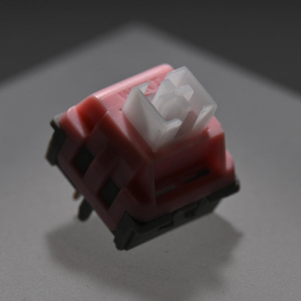 WEKT Yunyan Switch Yun Yan Switch Yun Yann 45g 55g for Gaming Mechanical Keyboard Factory Pre Lubed Rapid Trigger