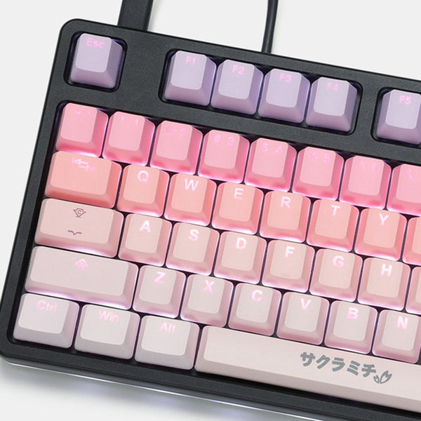 Taihao Sakura Michi Keycap PBT Doubleshots Keycap OEM Profile for mechanical keyboard gradient For Made68 EV63 Wooting 60he 80
