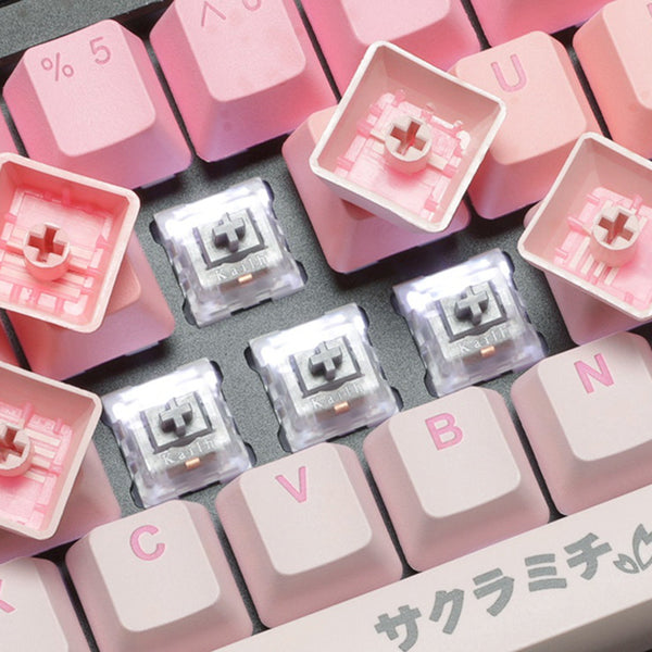 Taihao Sakura Michi Keycap PBT Doubleshots Keycap OEM Profile for mechanical keyboard gradient For Made68 EV63 Wooting 60he 80