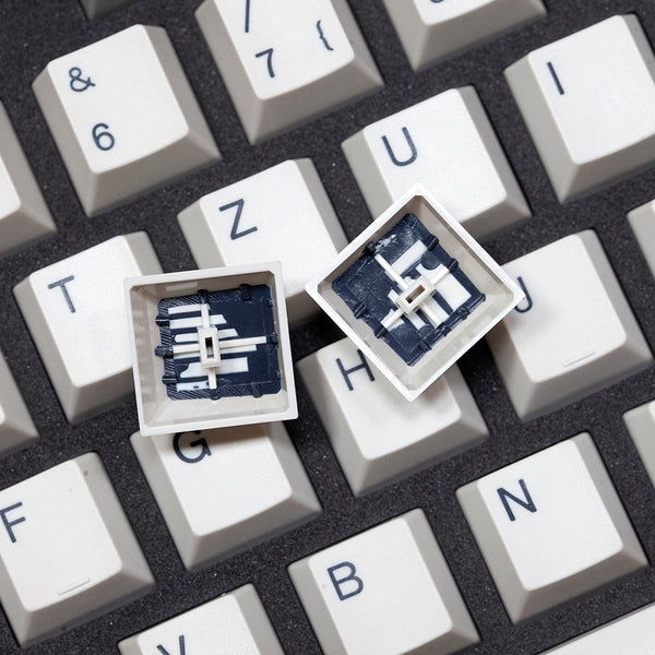 Taihao Alps Retro DE Keycap ABS Doubleshot keycaps for diy gaming alps mechanical keyboard oem All in One German