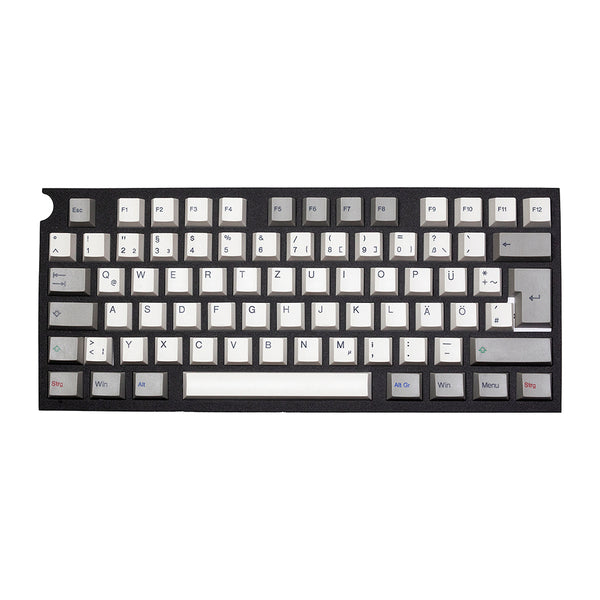 Taihao Alps Retro DE Keycap ABS Doubleshot keycaps for diy gaming alps mechanical keyboard oem All in One German