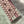 QTUO Strawberry Cake Keycap Dye Subbed Cherry Profile Set thick PBT for keyboard 87 tkl 104 ansi xd64 bm60 xd68 xd84 BM87 BM65