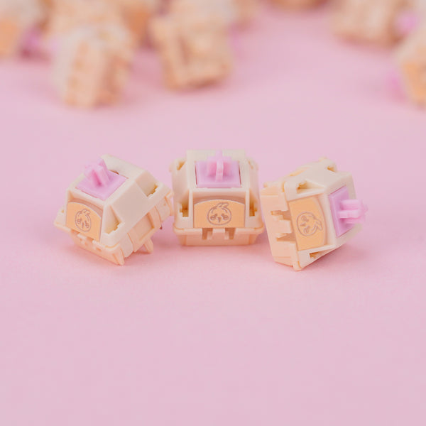 XIDA Usagi Switch V2 R2 Linear Switch 28g 37g 45g 32g 43g 50g for Gaming Mechanical Keyboard Factory Lubed 5pin PC PA66 UPE