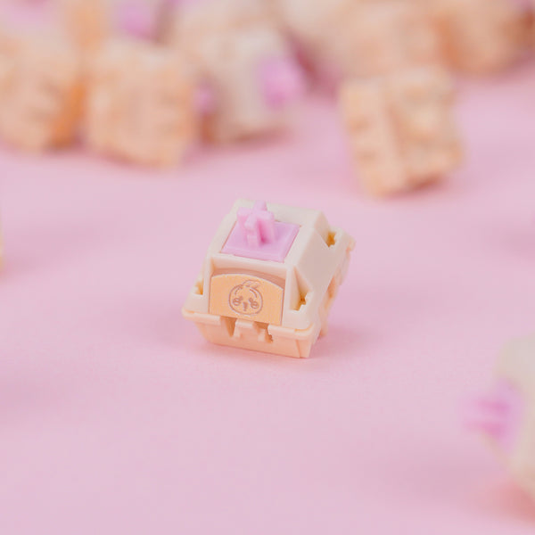 XIDA Usagi Switch V2 R2 Linear Switch 28g 37g 45g 32g 43g 50g for Gaming Mechanical Keyboard Factory Lubed 5pin PC PA66 UPE