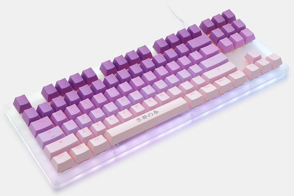taihao Spring in Kyoto pbt double shot keycaps for diy gaming mechanical keyboard Backlit Caps oem profile light through ISO UK