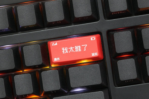 Novelty Shine-through keycap backspace enter ABS OEM profile wo tai nan le 我太难了