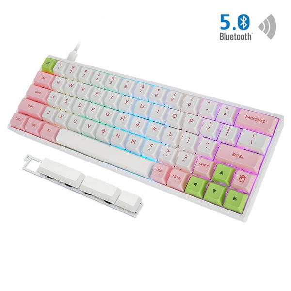 gk64xs  kailh silent switch hot swappable bluetooth dual mode Mechanical Keyboard